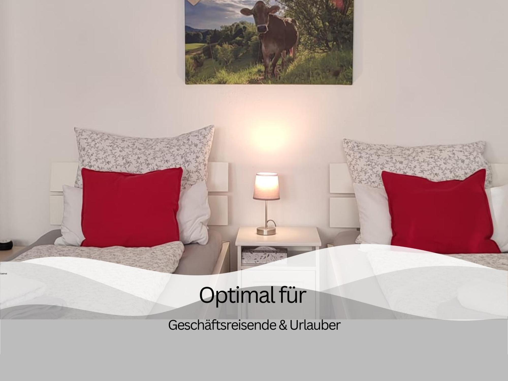 Ferienwohnung Trifts | Einzelbetten | Parkplatz Wangen im Allgäu Екстериор снимка